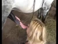 Blonde k9 Girl can't live without white horse